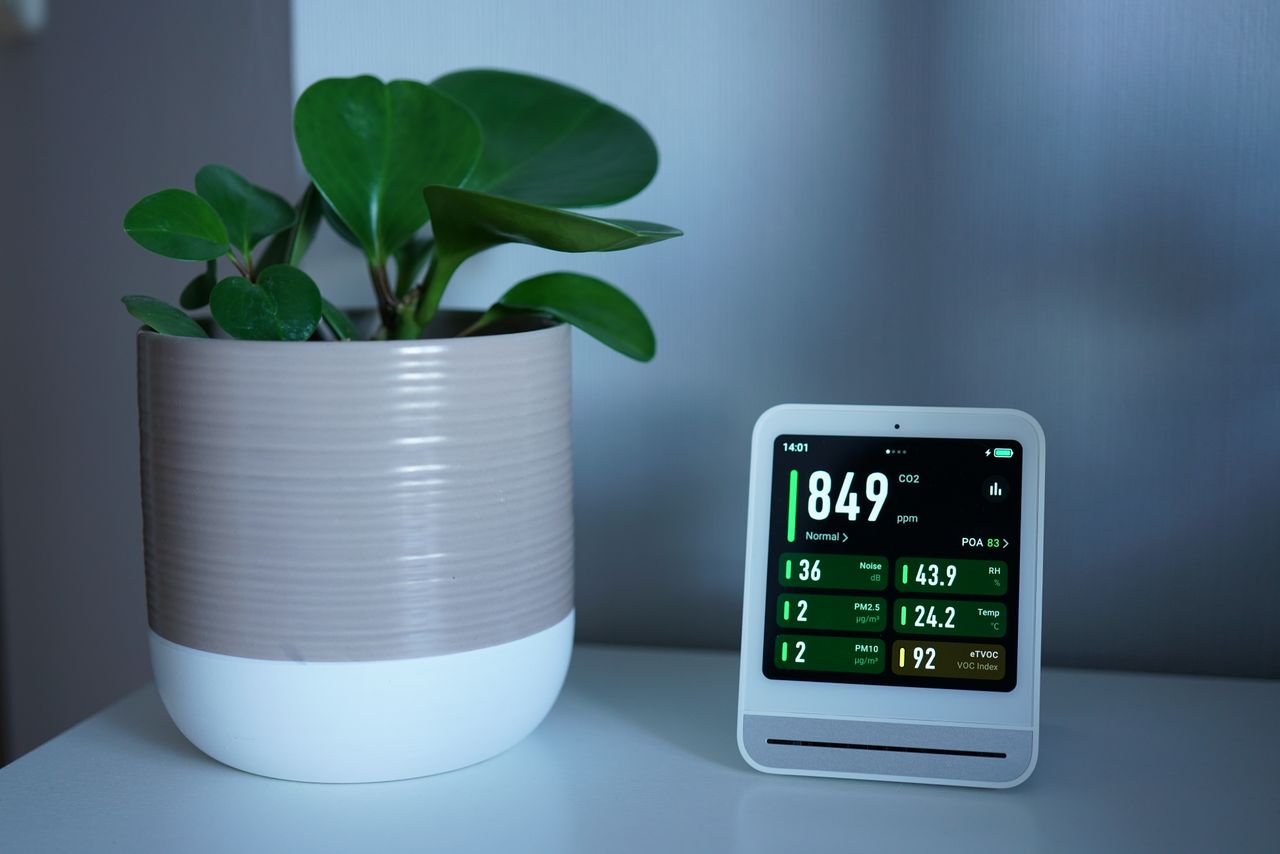 monitor